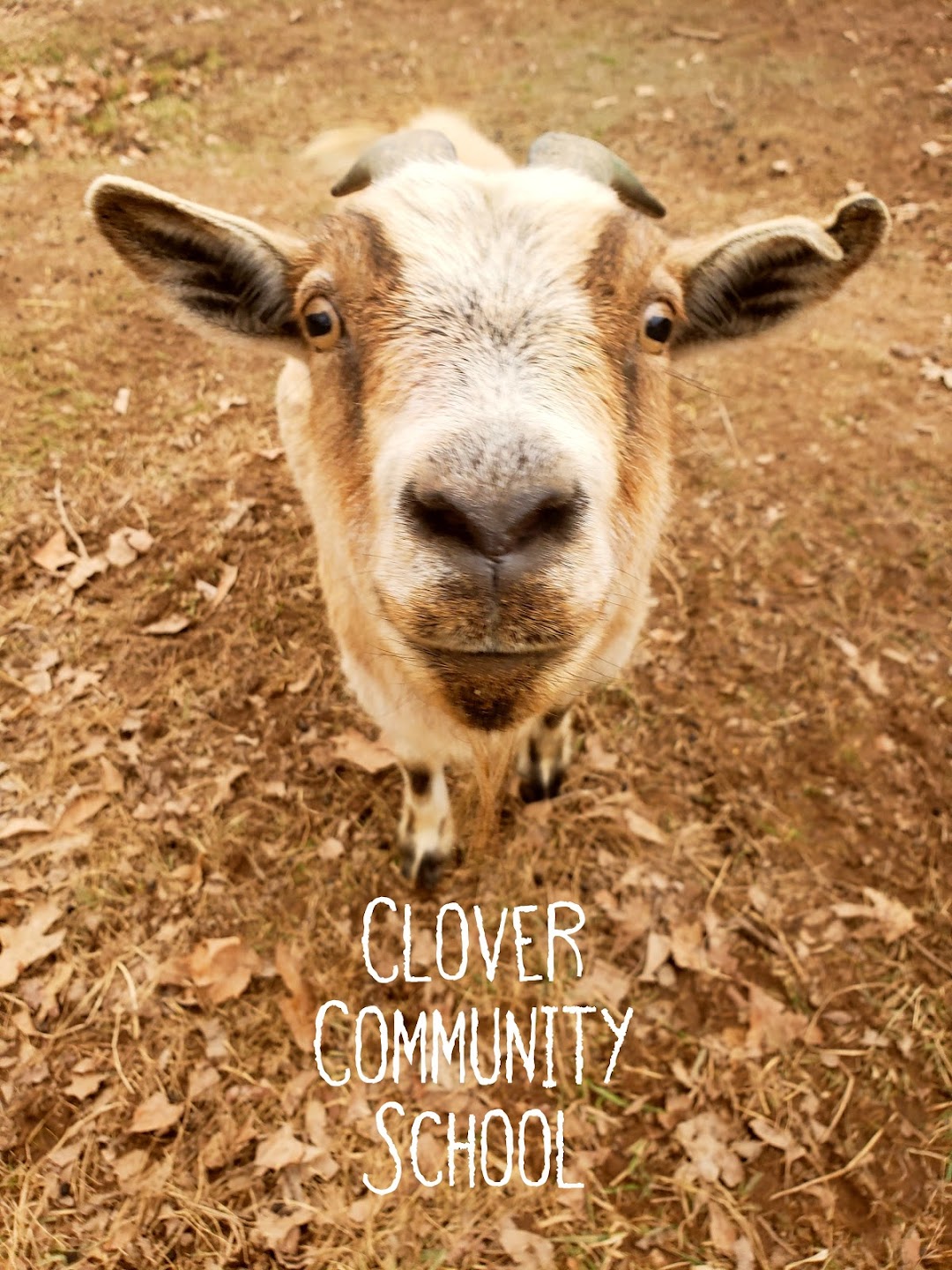Clover Community School