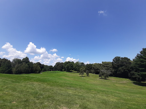 Museum «McMullen Museum of Art», reviews and photos, 2101 Commonwealth Avenue, Boston, MA 02135, USA