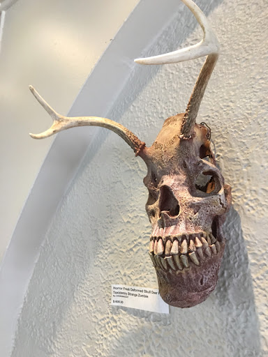 Tattoo Shop «Royal Flesh Tattoo and Piercing», reviews and photos, 4005 N Broadway St, Chicago, IL 60613, USA