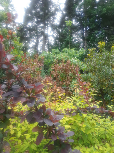 Park «Viewpoint Park», reviews and photos, 134th & NE 24th Street, Bellevue, WA 98005, USA