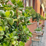 Photo n°7 de l'avis de Marius.o fait le 09/07/2023 à 16:20 sur le  Tigullio à Lavagna