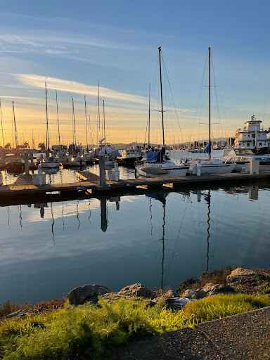 Berkeley Marina F Dock