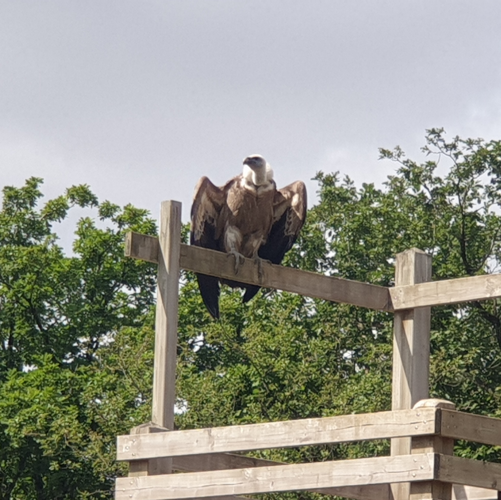 Photo n° 3 de l'avis de YetJ1402. fait le 16/07/2023 à 15:31