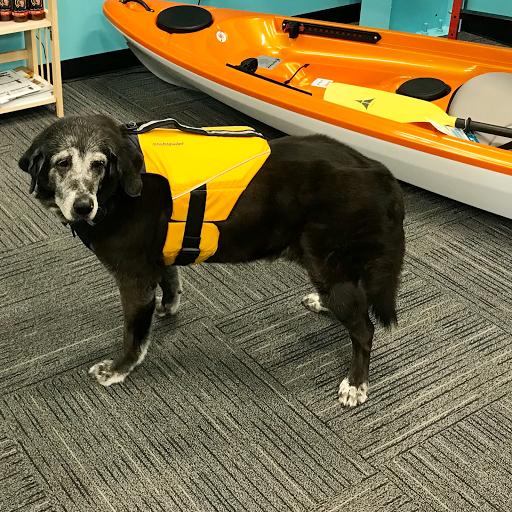 Sporting Goods Store «KAYAKS BY BO INC.», reviews and photos, 410 S Hopkins Ave, Titusville, FL 32796, USA