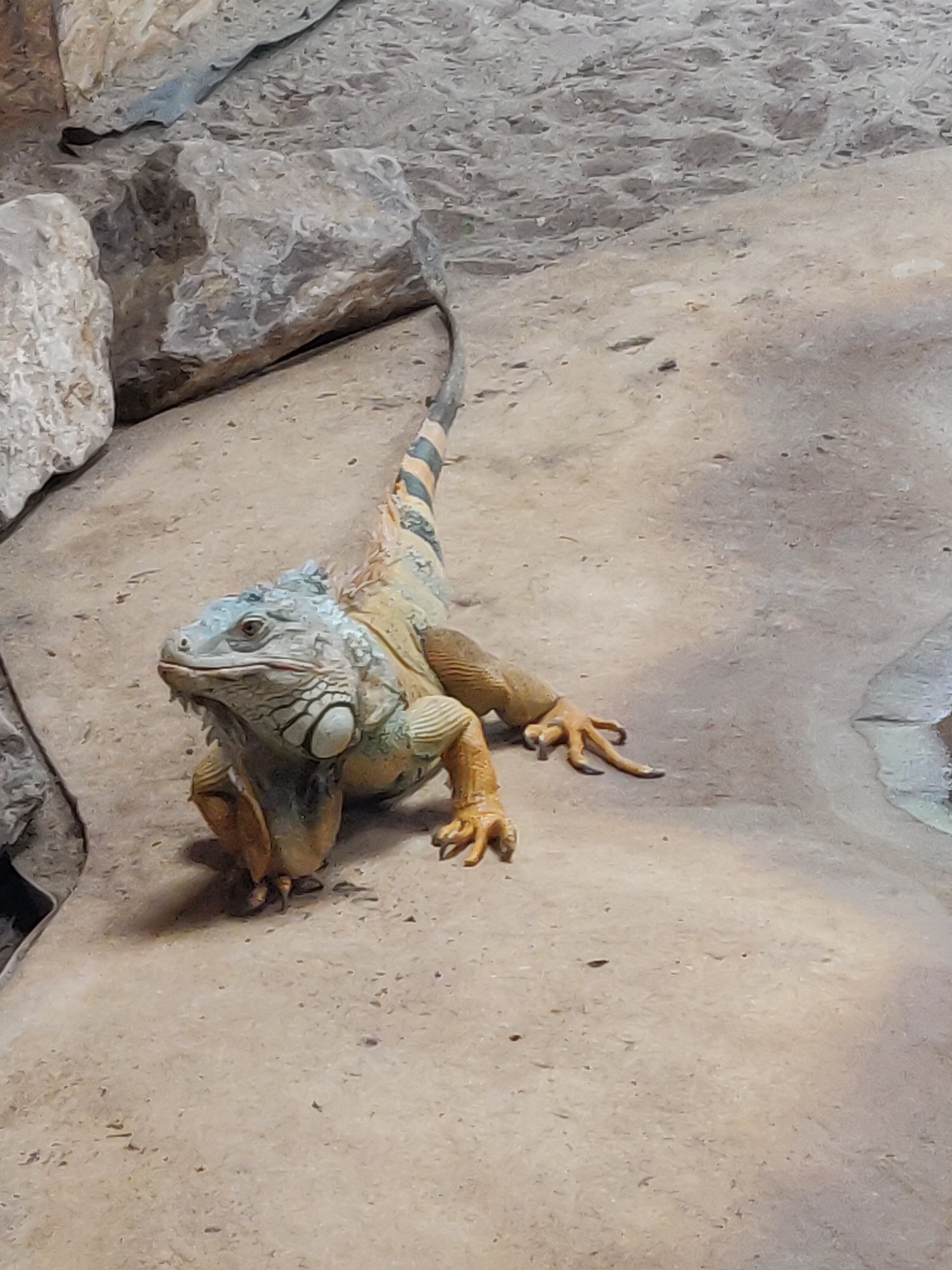 Photo n° 24 de l'avis de Amélie.e fait le 31/08/2019 à 17:39