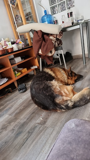 Clínica Veterinaria Metropòlitan en Palma