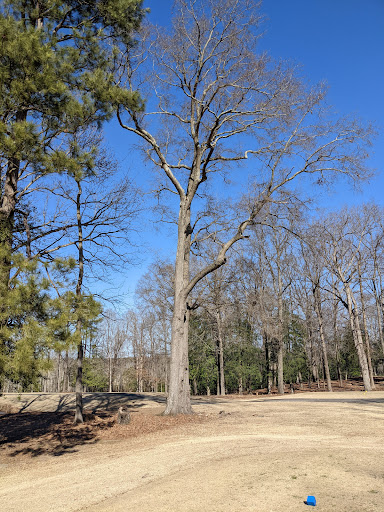 Public Golf Course «The Crossings Golf Club», reviews and photos, 800 Virginia Center Pkwy, Glen Allen, VA 23059, USA