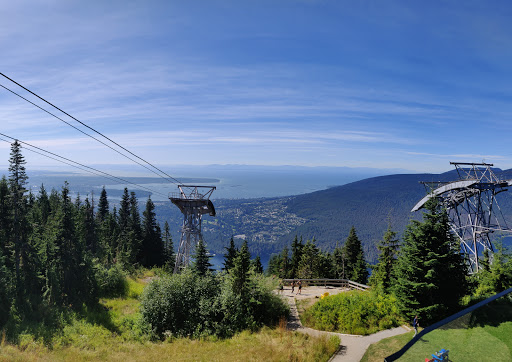 Grouse Mountain