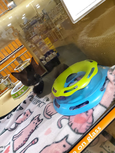 Pet Supply Store «PetSmart», reviews and photos, 601 Centerview Blvd, Kissimmee, FL 34741, USA