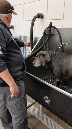 Pet Supply Store «Pet Supplies Plus», reviews and photos, 1213 Mentor Ave, Painesville, OH 44077, USA