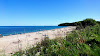 Moesgard Beach