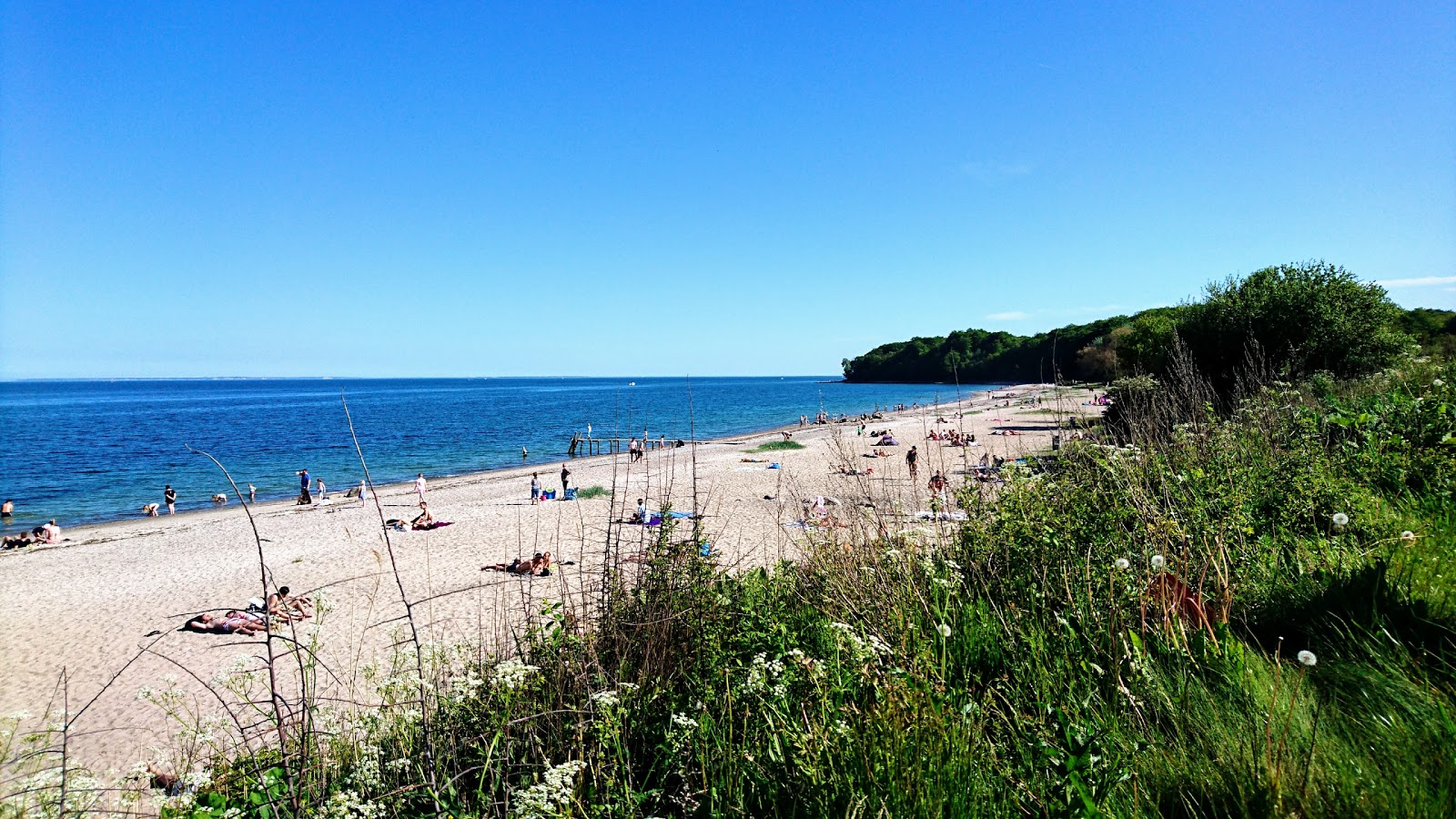 Photo de Moesgard Beach avec sable beige de surface