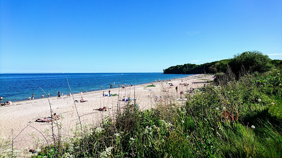 Moesgard Beach