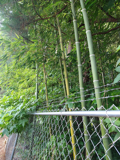 Self-Storage Facility «Compass Self Storage», reviews and photos, 1680 Hiram Douglasville Hwy, Hiram, GA 30141, USA