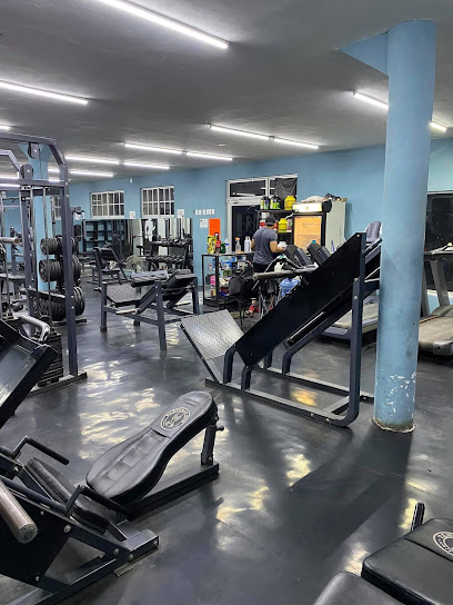 Pantera's gym