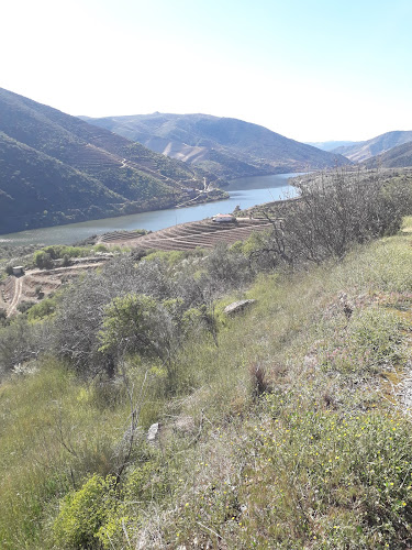 Avaliações doAppitad-associação Dos Produtores Em Protecção Integrada De Trás-os-montes E Alto Douro em Mirandela - Loja de produtos naturais