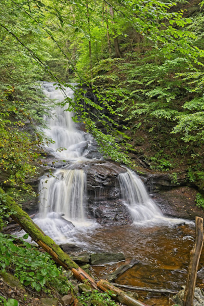 Tuscarora Waterfall