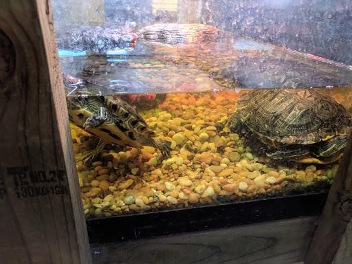 Pet Store «Fins Feathers Paws & Claws», reviews and photos, 436 Main St, Harleysville, PA 19438, USA