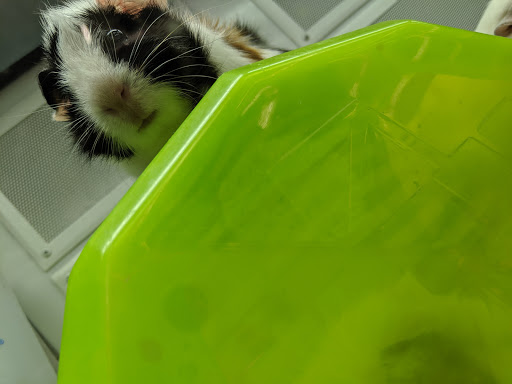 Pet Supply Store «Petco Animal Supplies», reviews and photos, 1215-1309 NJ-33 #1, Hamilton Township, NJ 08690, USA