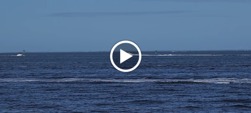 Nature Preserve «Robinson Preserve», reviews and photos, 9800 Manatee Ave W, Bradenton, FL 34209, USA