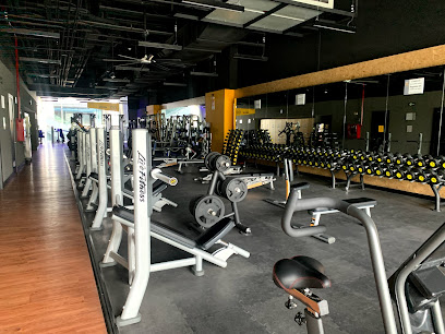 Gimnasio Smart Fit - Aleph 💪🏼 - Av. Insurgentes Sur 2475, Tizapán San Ángel, San Ángel, Álvaro Obregón, 01000 Ciudad de México, CDMX, Mexico