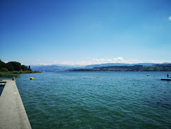 Strandbad Feldmeilen photo #6