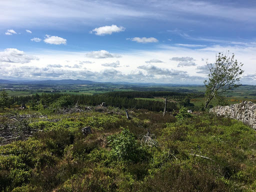 Kirkhill Forest Aberdeen