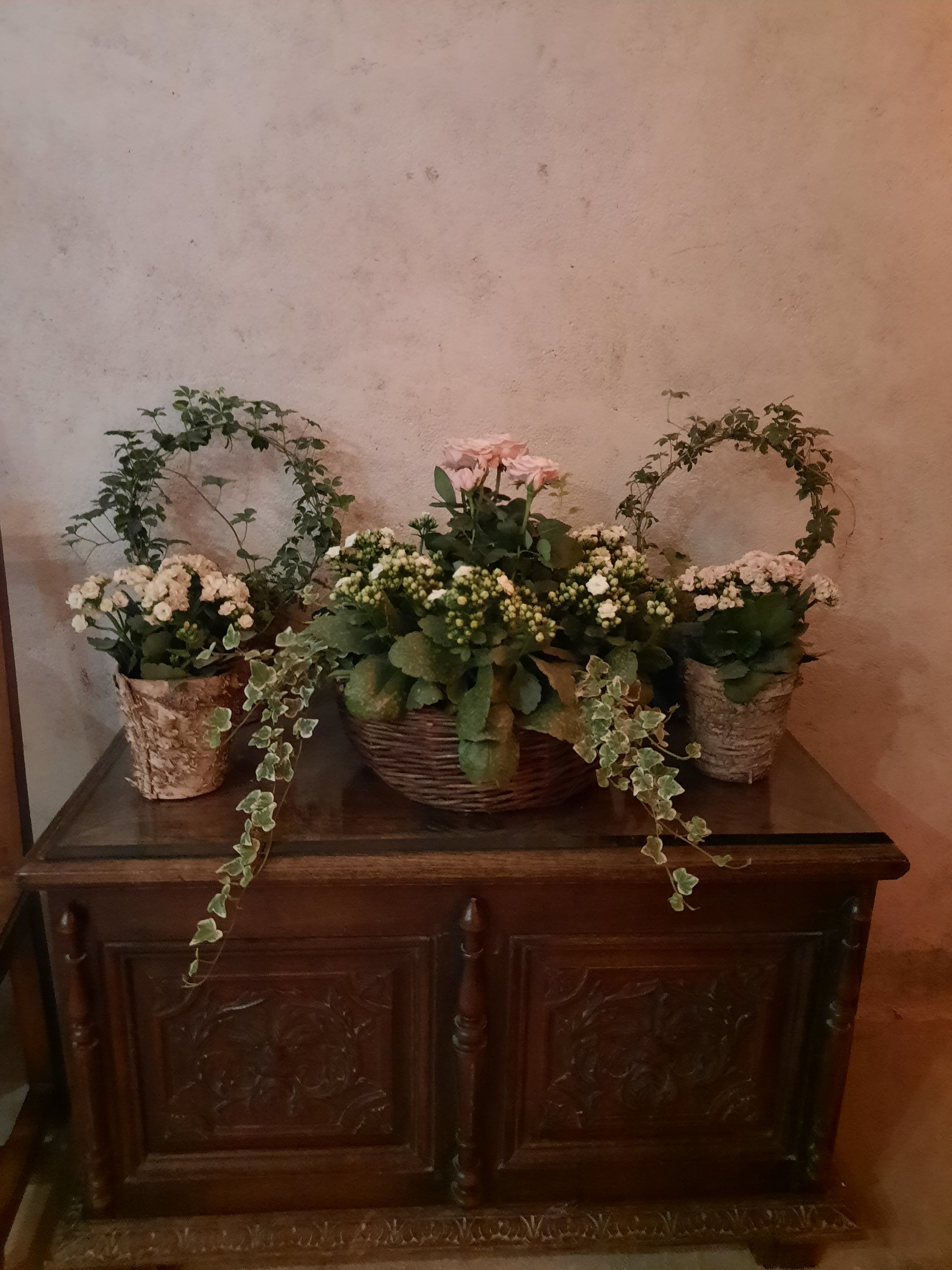 Photo n° 18 de l'avis de laurence.r fait le 16/05/2023 à 10:54