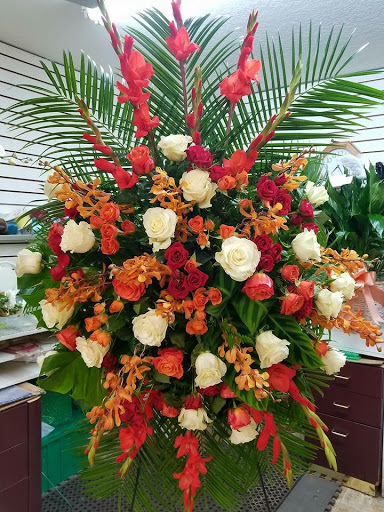 Florist «Moates Florist», reviews and photos, 5034 N Nebraska Ave, Tampa, FL 33603, USA