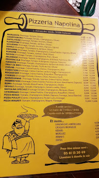 Menu du Pizzeria Napolina à Toulouse