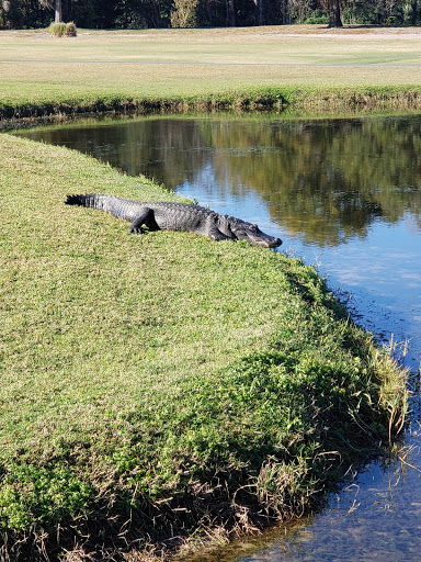 Golf Club «East Bay Golf Club», reviews and photos, 702 Country Club Dr, Largo, FL 33771, USA