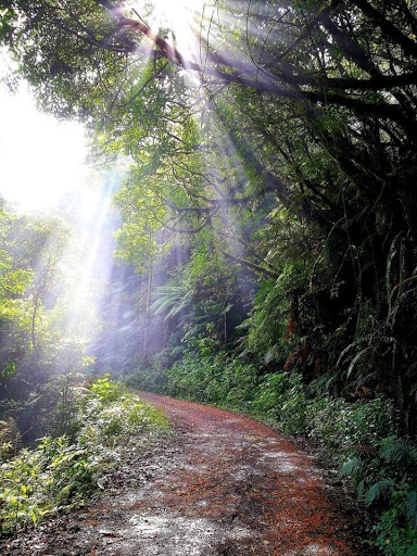 Laundry «24 Hour Laundry», reviews and photos, 7133 Chimney Rock Rd, Houston, TX 77081, USA