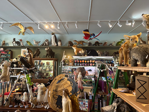 Leura Cabinet Of Curiosities