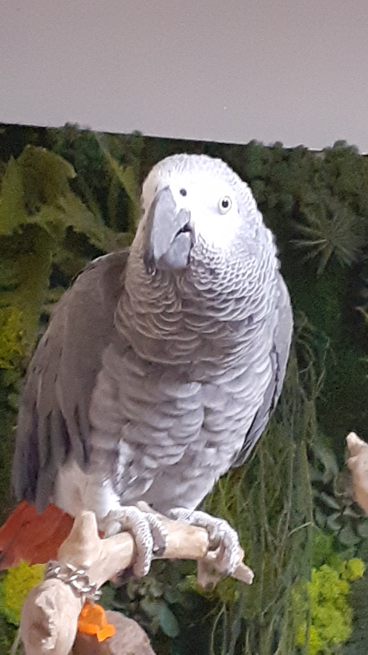 Photo n° 3 de l'avis de patricia.u fait le 18/10/2023 à 18:43