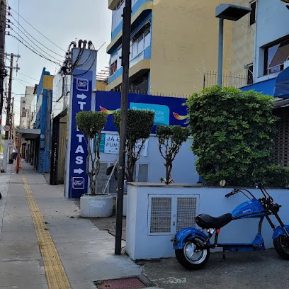 Ponto das Tintas Com Mat Construção e Ltda Vila Maria São Paulo