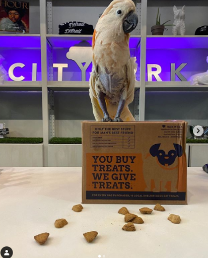 Pet Store «City Bark», reviews and photos, 1222 Griswold St, Detroit, MI 48226, USA