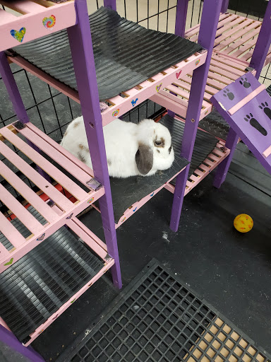 Department Store «Runnings of Brockport», reviews and photos, 4828 Lake Rd N, Brockport, NY 14420, USA