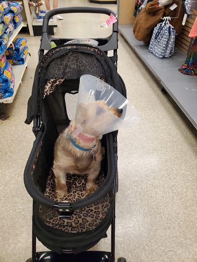 PetSmart