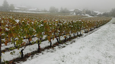 Vins Pascal PAGET à Chignin