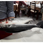 Photo n°1 de l'avis de Adriana.o fait le 11/04/2019 à 07:41 sur le  O Robalo à Matosinhos