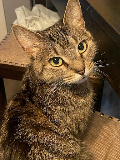 522 Broad St, Bloomfield, NJ 07003, USA