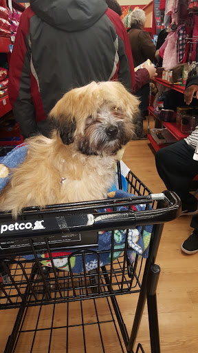 Pet Supply Store «Petco Animal Supplies», reviews and photos, 200 Center Blvd S, Christiana, DE 19702, USA