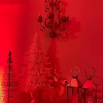 Photo n° 18 de l'avis de Tom.u fait le 18/12/2022 à 16:04 pour Chalet Vaudois à Roquebrune-sur-Argens