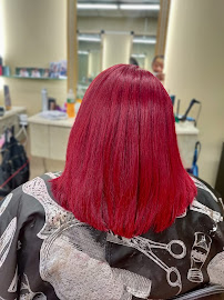 Park Ave Trends - Photo 2 - Car repair in Rochester, NY, Rochester