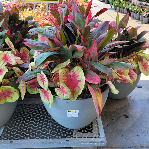 Home Improvement Store «The Home Depot», reviews and photos, 6119 FM 1488, Magnolia, TX 77354, USA