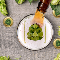 Hopskeller Brewing Company in Waterloo, Illinois - 4.70 star rating