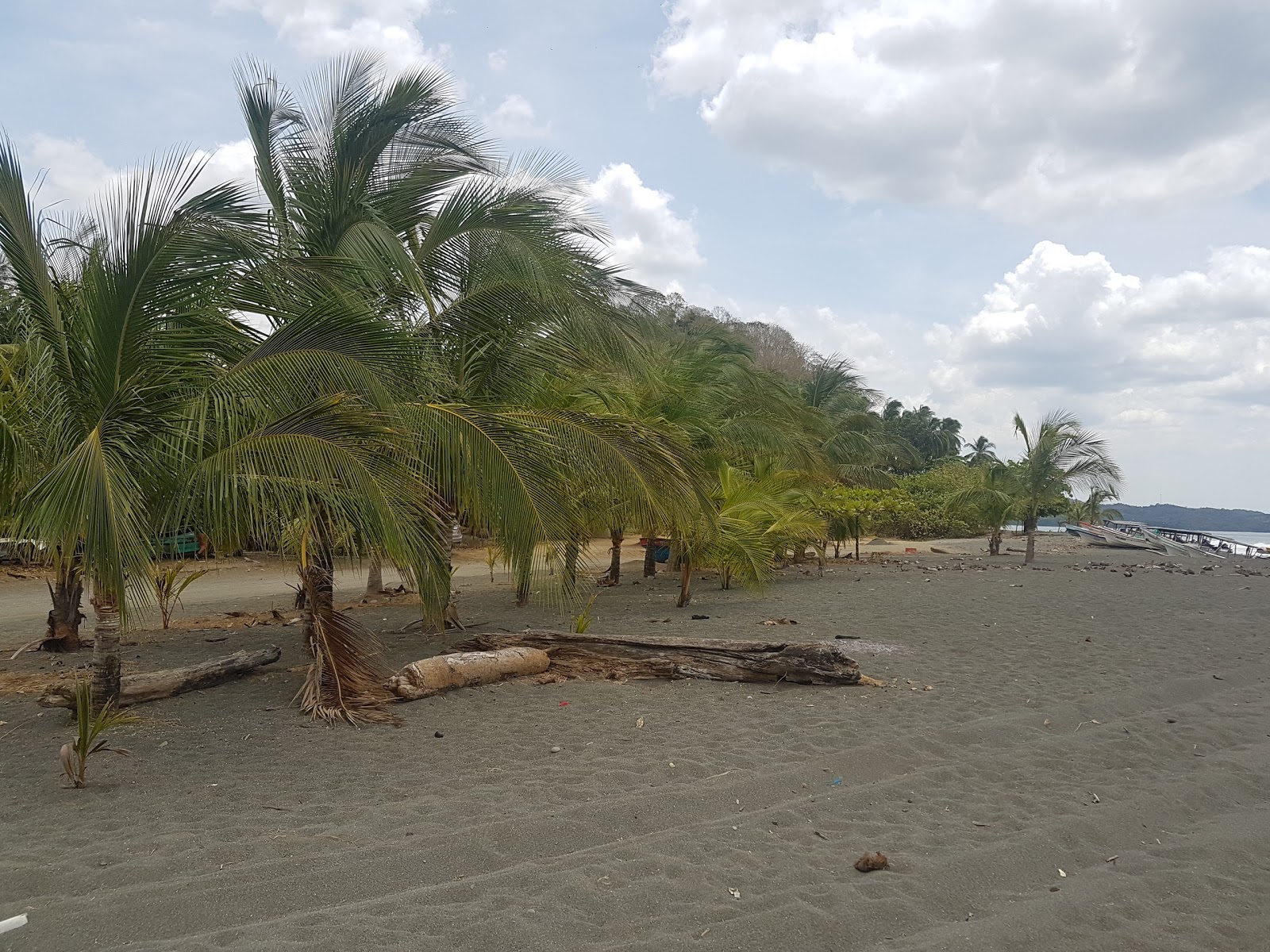Photo of Malena Beach amenities area