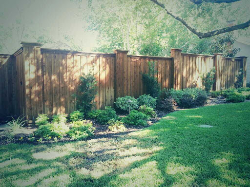 Reed Fence & Deck