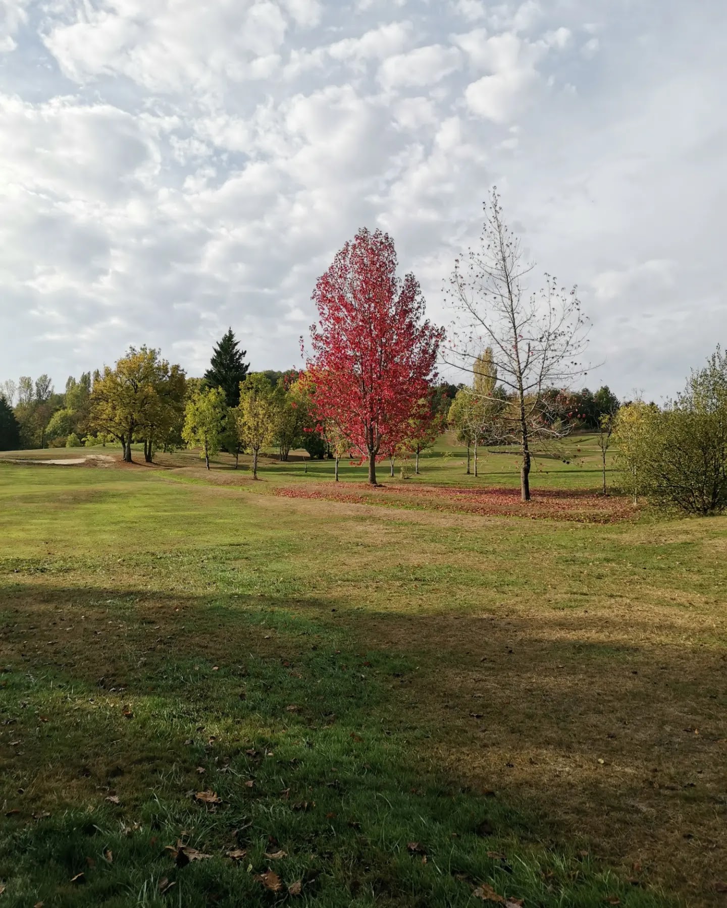 Photo n° 2 de l'avis de Véronique.U fait le 01/11/2022 à 20:08