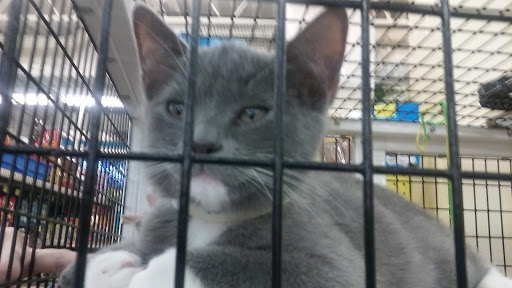 Pet Supply Store «Pet Supermarket», reviews and photos, 1746 E Silver Springs Blvd, Ocala, FL 34470, USA